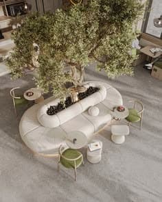 Seen from above, a curved cream sofa built around a planter with an olive tree, surrounded by green armchairs and small round tables